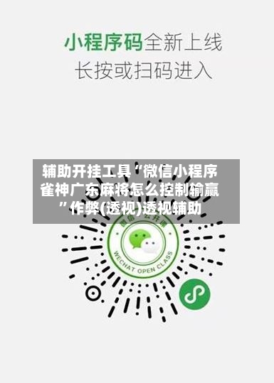 辅助开挂工具“微信小程序雀神广东麻将怎么控制输赢	”作弊(透视)透视辅助-第2张图片