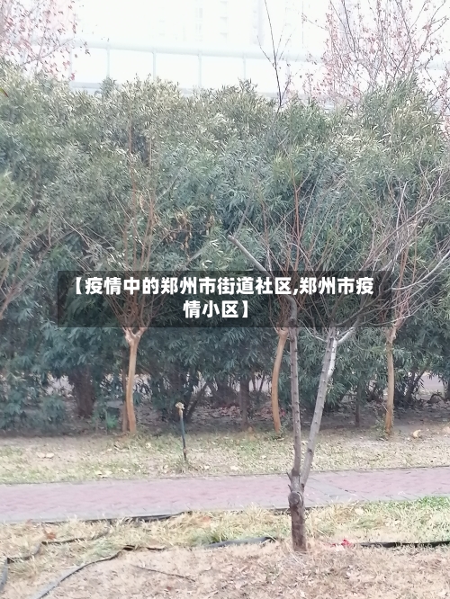 【疫情中的郑州市街道社区,郑州市疫情小区】-第1张图片
