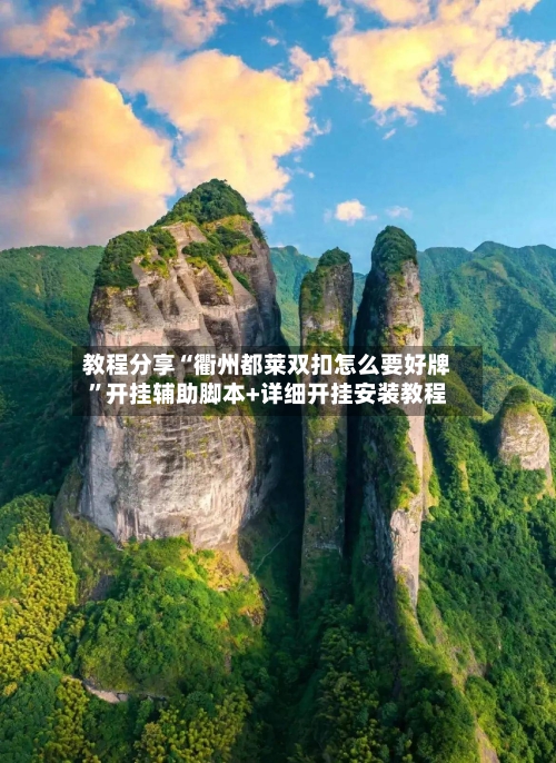 教程分享“衢州都莱双扣怎么要好牌”开挂辅助脚本+详细开挂安装教程-第3张图片