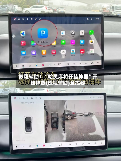 教程辅助！“哈灵麻将开挂神器	”开挂神器{透视辅助}全揭秘-第2张图片