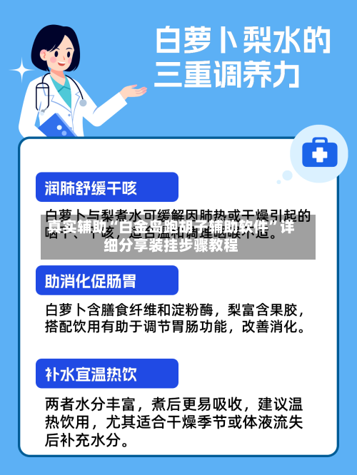 真实辅助“白金岛跑胡子辅助软件”详细分享装挂步骤教程-第2张图片