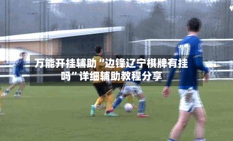 万能开挂辅助“边锋辽宁棋牌有挂吗”详细辅助教程分享-第2张图片