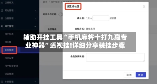 辅助开挂工具“手机麻将十打九赢专业神器”透视挂!详细分享装挂步骤-第3张图片