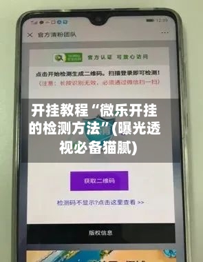 开挂教程“微乐开挂的检测方法”(曝光透视必备猫腻)-第2张图片