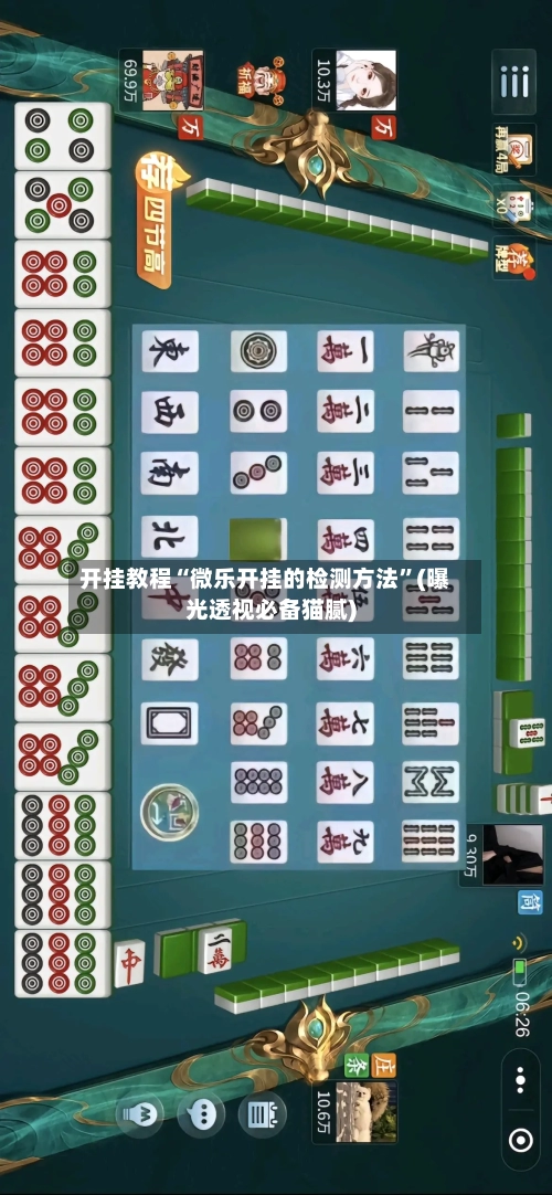 开挂教程“微乐开挂的检测方法	”(曝光透视必备猫腻)-第1张图片