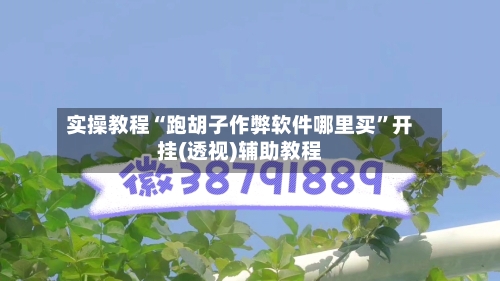 实操教程“跑胡子作弊软件哪里买	”开挂(透视)辅助教程-第1张图片