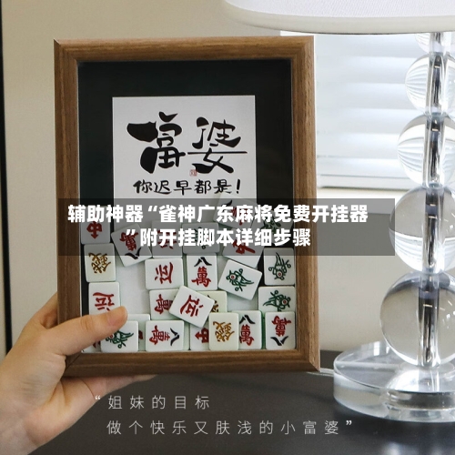 辅助神器“雀神广东麻将免费开挂器”附开挂脚本详细步骤-第3张图片