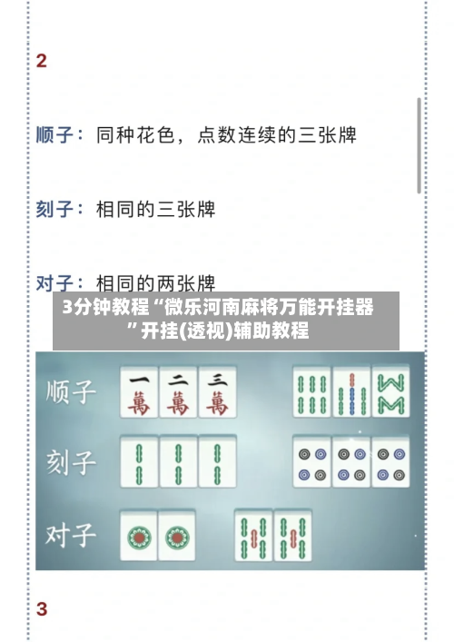 3分钟教程“微乐河南麻将万能开挂器”开挂(透视)辅助教程-第3张图片