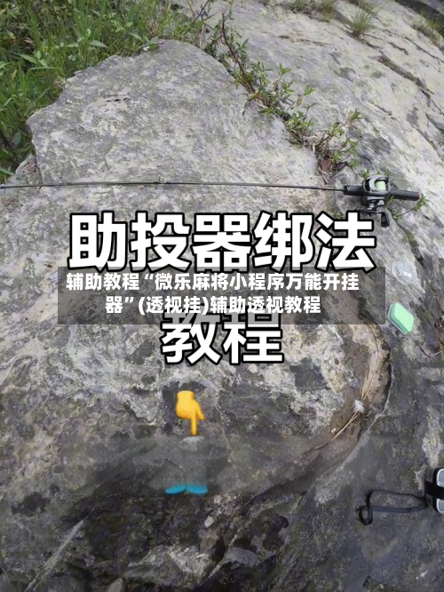 辅助教程“微乐麻将小程序万能开挂器”(透视挂)辅助透视教程-第1张图片