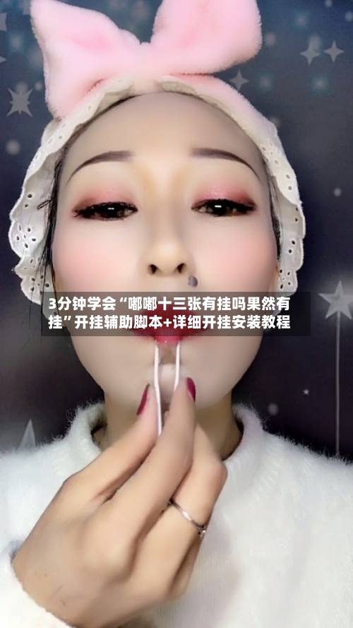 3分钟学会“嘟嘟十三张有挂吗果然有挂	”开挂辅助脚本+详细开挂安装教程-第3张图片