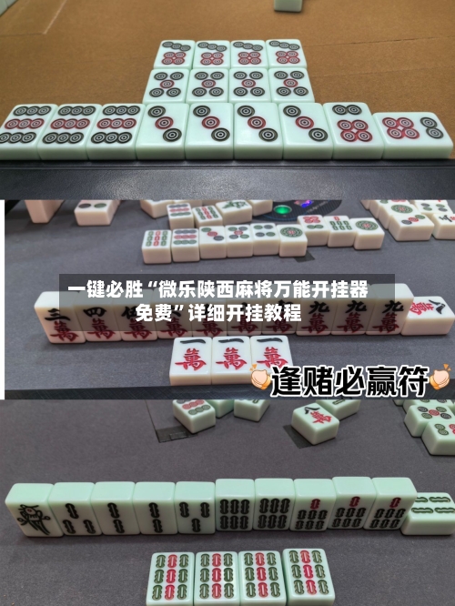 一键必胜“微乐陕西麻将万能开挂器免费”详细开挂教程-第1张图片