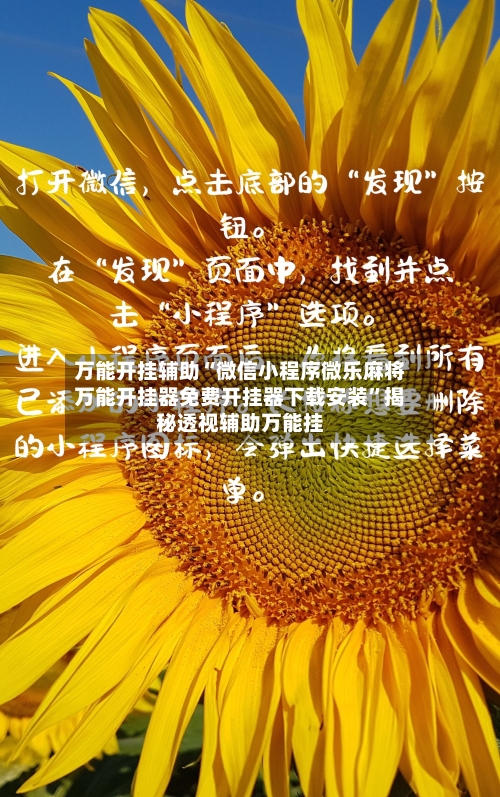 万能开挂辅助“微信小程序微乐麻将万能开挂器免费开挂器下载安装	”揭秘透视辅助万能挂-第2张图片