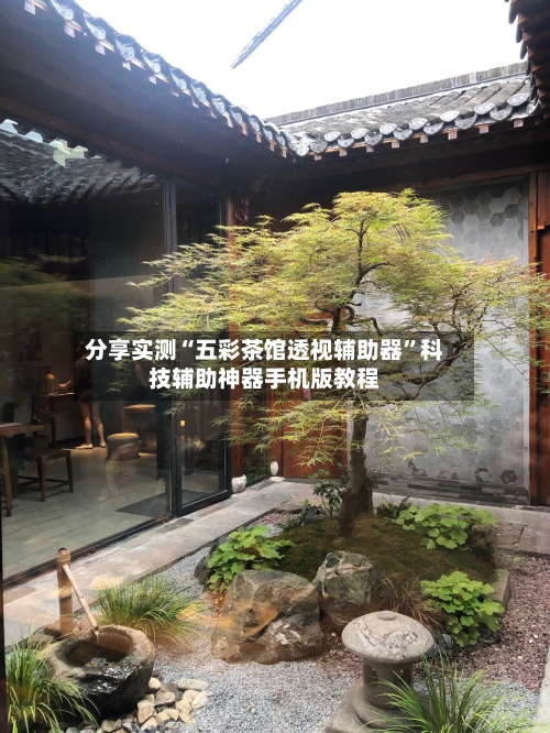 分享实测“五彩茶馆透视辅助器”科技辅助神器手机版教程-第1张图片