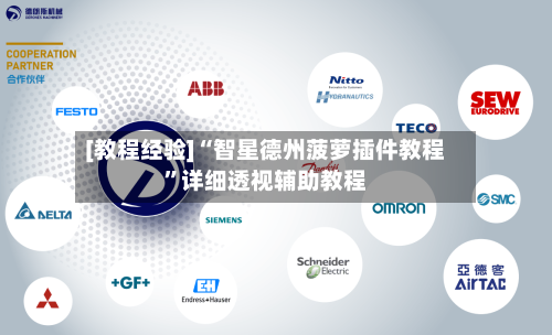 [教程经验]“智星德州菠萝插件教程”详细透视辅助教程-第2张图片