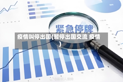 疫情叫停出国(暂停出国交流 疫情)-第2张图片