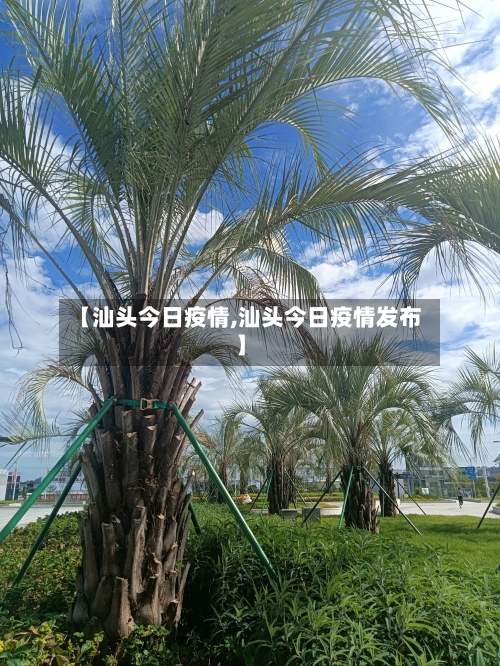 【汕头今日疫情,汕头今日疫情发布】-第3张图片