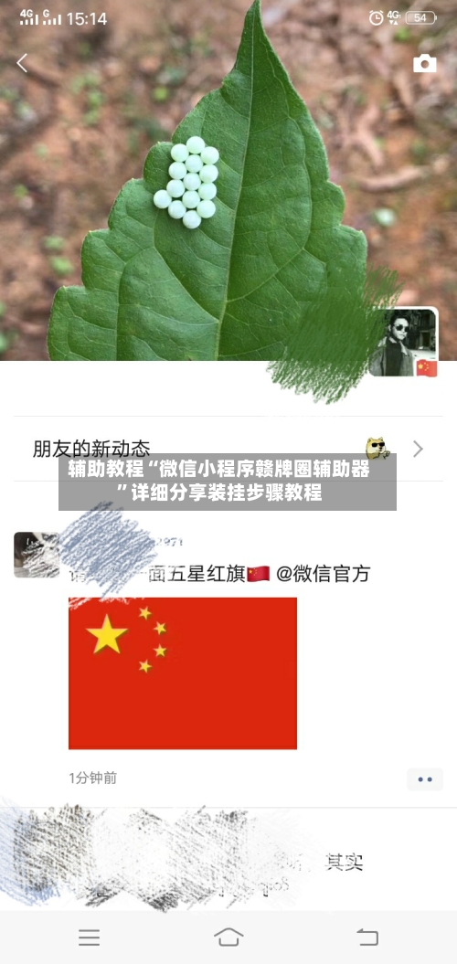 辅助教程“微信小程序赣牌圈辅助器”详细分享装挂步骤教程-第3张图片