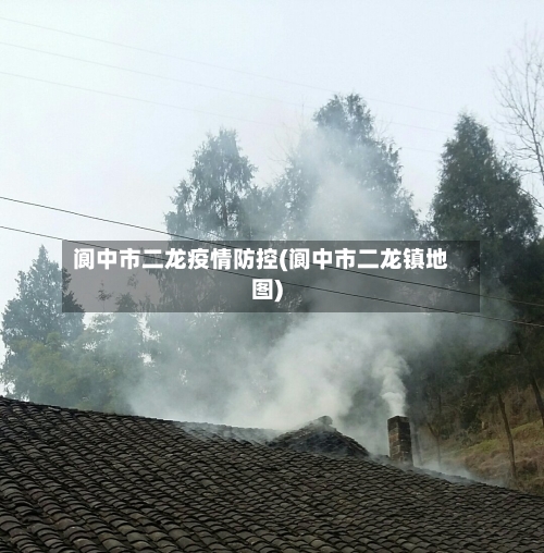 阆中市二龙疫情防控(阆中市二龙镇地图)-第3张图片