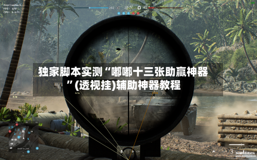 独家脚本实测“嘟嘟十三张助赢神器”(透视挂)辅助神器教程-第2张图片