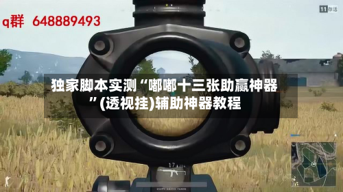 独家脚本实测“嘟嘟十三张助赢神器”(透视挂)辅助神器教程-第3张图片