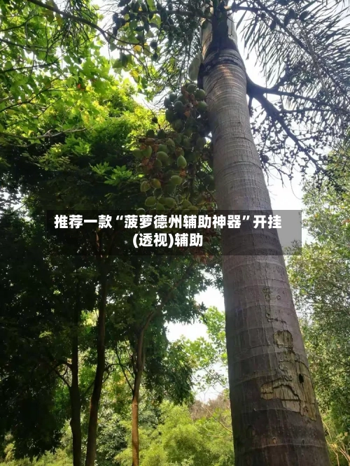 推荐一款“菠萝德州辅助神器”开挂(透视)辅助-第1张图片