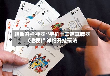 辅助开挂神器“手机十三道算牌器(透视)”详细开挂玩法-第3张图片